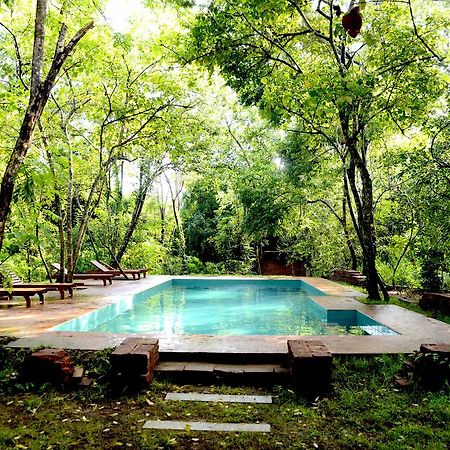 מלון Avudangawa Mahagedara Wellness Retreat מראה חיצוני תמונה