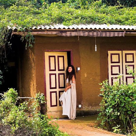 מלון Avudangawa Mahagedara Wellness Retreat מראה חיצוני תמונה