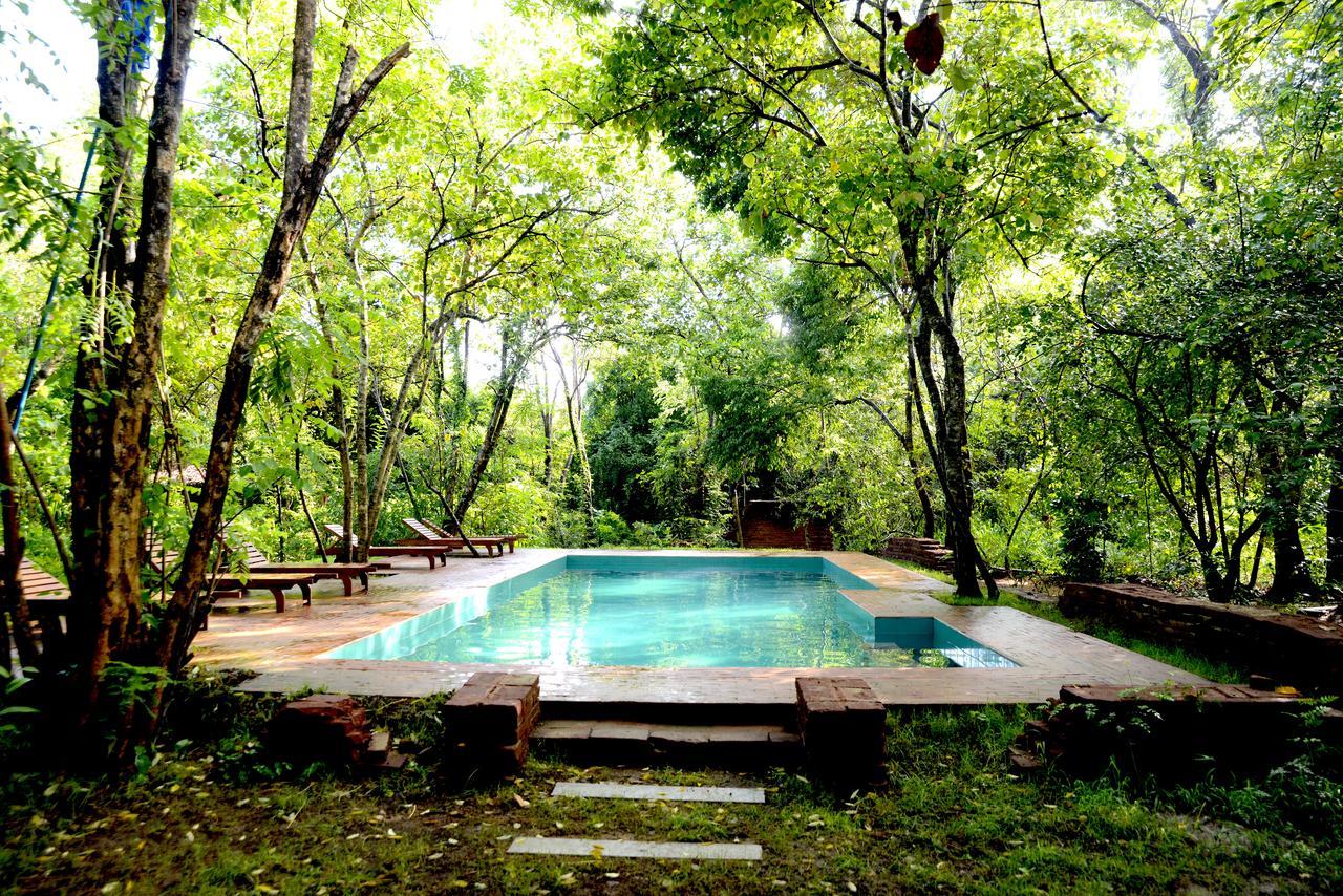 מלון Avudangawa Mahagedara Wellness Retreat מראה חיצוני תמונה