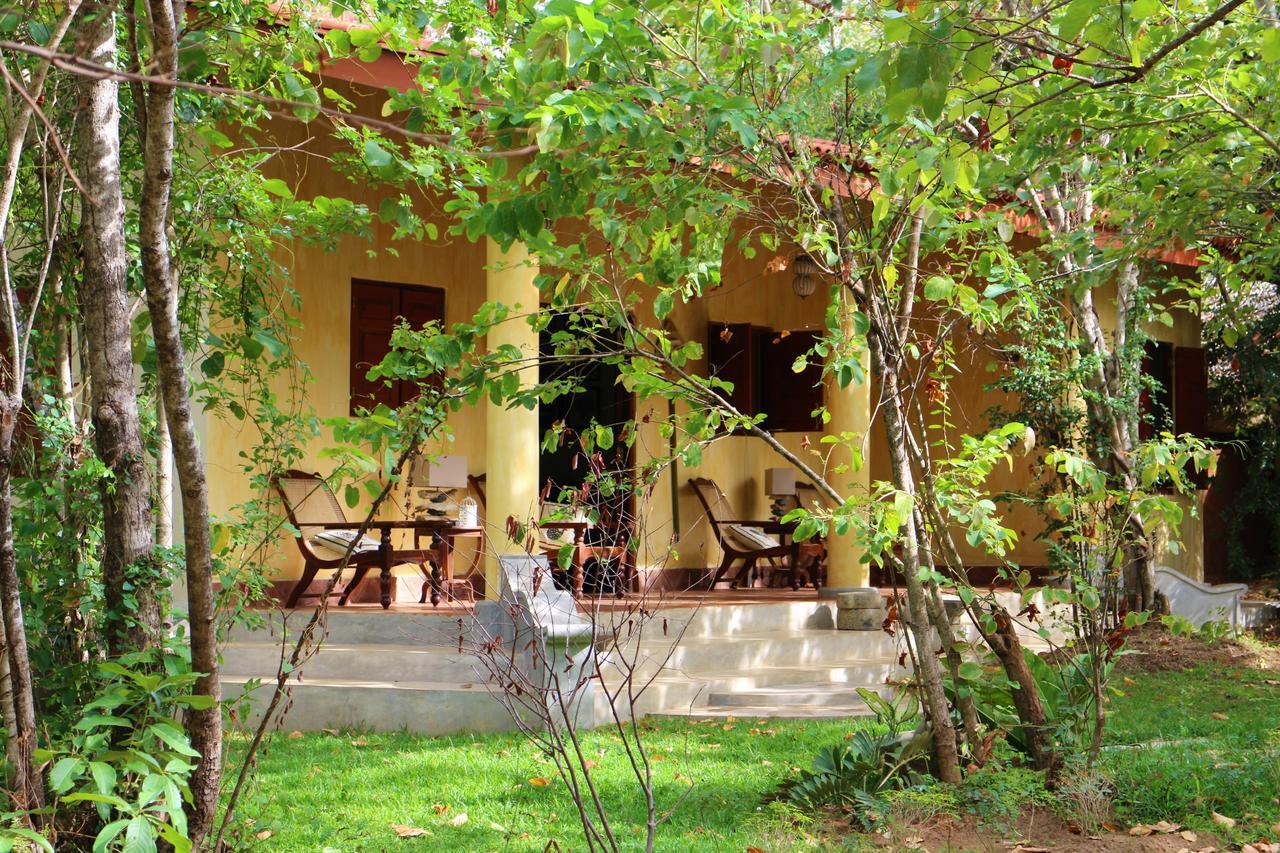 מלון Avudangawa Mahagedara Wellness Retreat מראה חיצוני תמונה