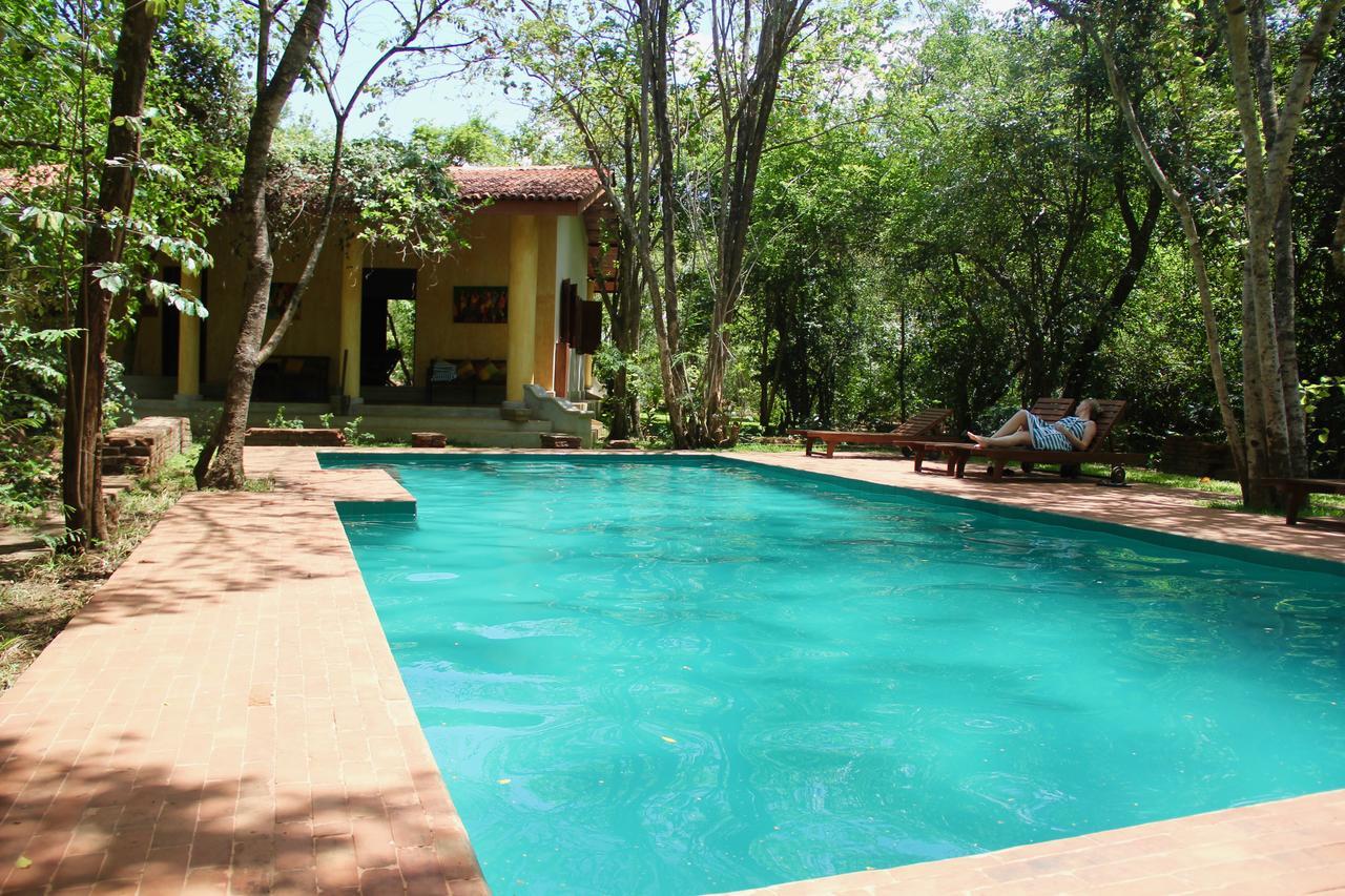 מלון Avudangawa Mahagedara Wellness Retreat מראה חיצוני תמונה