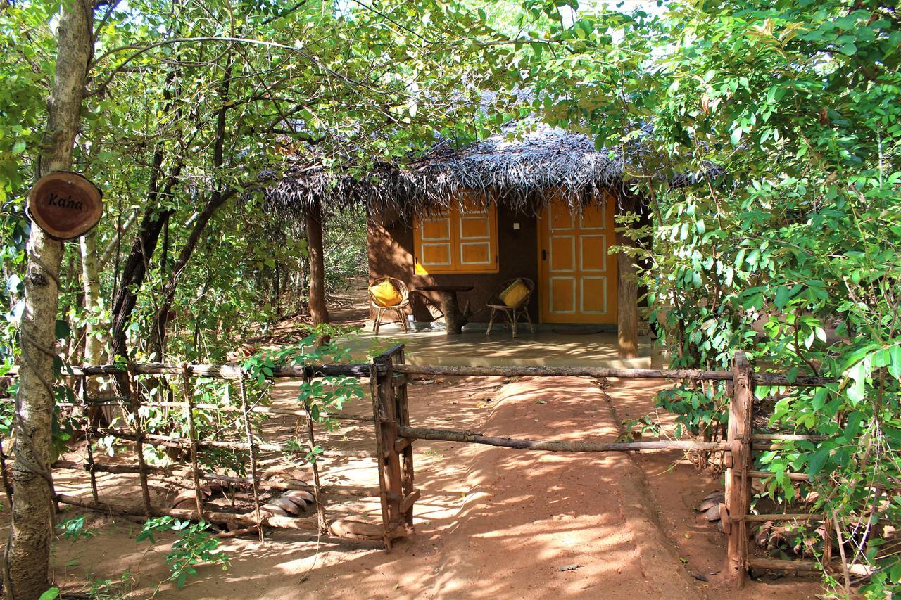 מלון Avudangawa Mahagedara Wellness Retreat מראה חיצוני תמונה