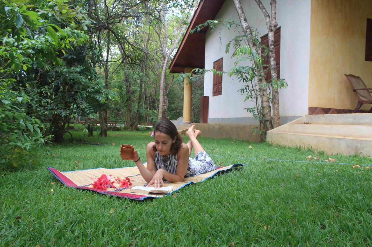 מלון Avudangawa Mahagedara Wellness Retreat מראה חיצוני תמונה