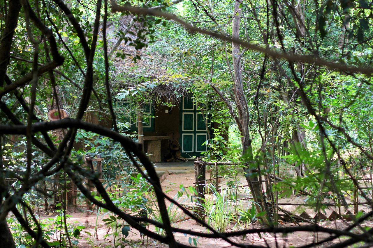 מלון Avudangawa Mahagedara Wellness Retreat מראה חיצוני תמונה