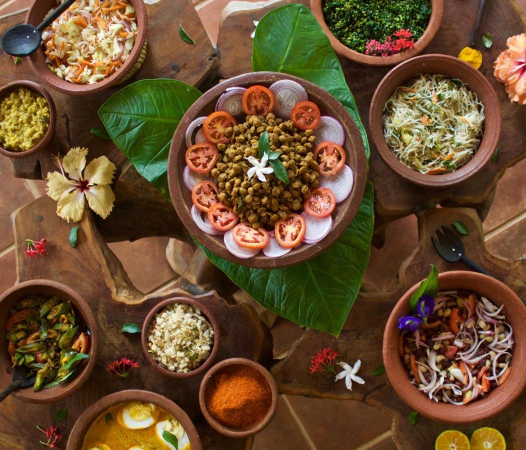 מלון Avudangawa Mahagedara Wellness Retreat מראה חיצוני תמונה