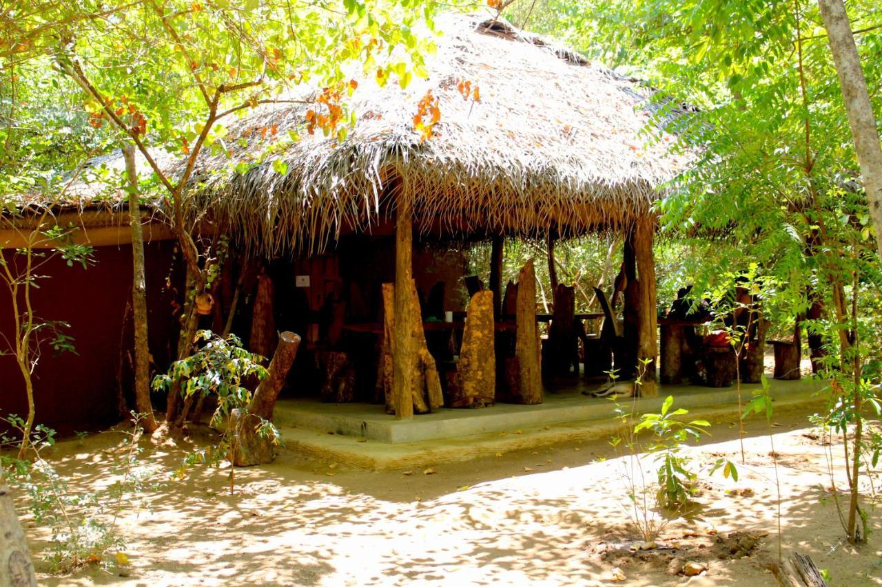 מלון Avudangawa Mahagedara Wellness Retreat מראה חיצוני תמונה