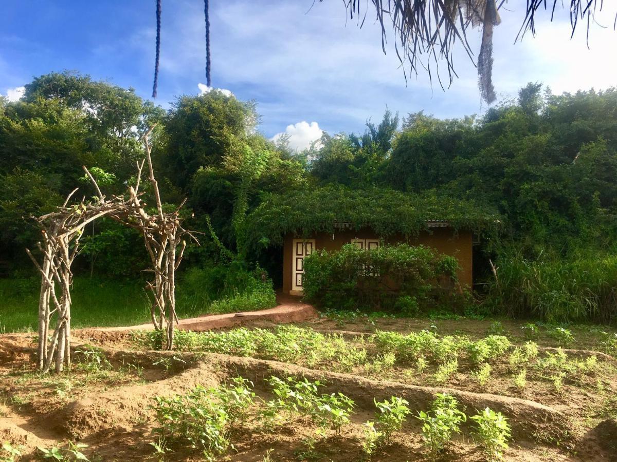 מלון Avudangawa Mahagedara Wellness Retreat מראה חיצוני תמונה